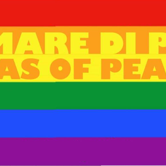 Il progetto Seas of Peace, Memoria, condivisione,  innovazione e inclusione